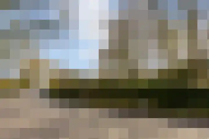 Jagersweg 1 Bergen op Zoom thumbnail 18