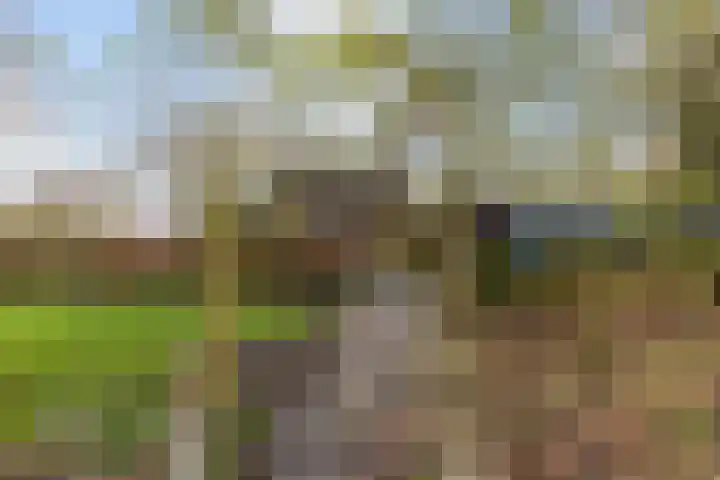 Jagersweg 1 Bergen op Zoom thumbnail 19