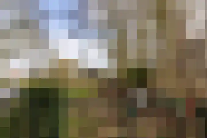 Jagersweg 1 Bergen op Zoom thumbnail 20