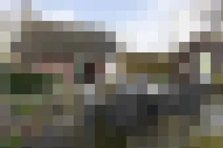 Jagersweg 1 Bergen op Zoom thumbnail 23