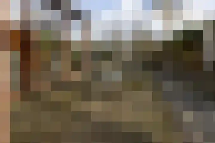 Jagersweg 1 Bergen op Zoom thumbnail 24