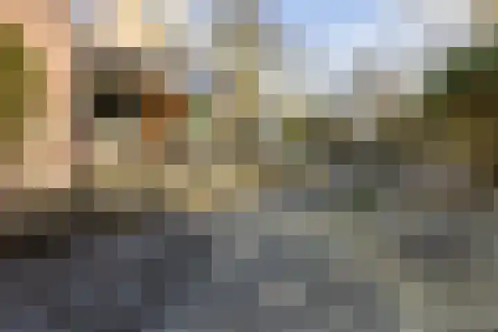 Jagersweg 1 Bergen op Zoom thumbnail 25