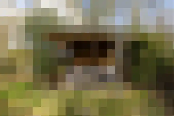 Jagersweg 1 Bergen op Zoom thumbnail 26