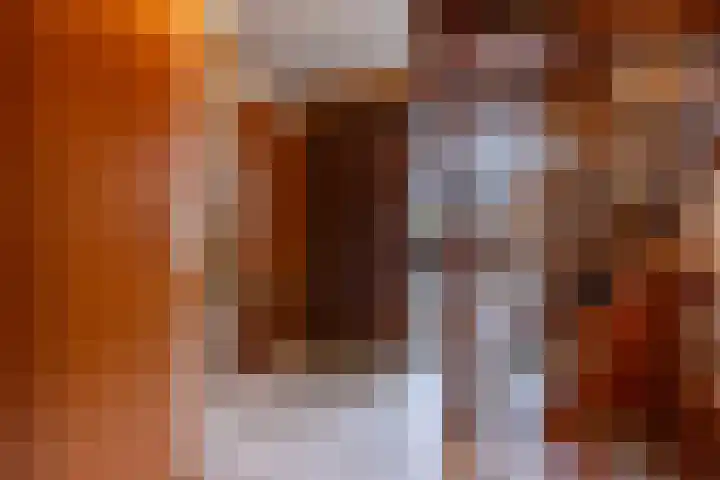 Jagersweg 1 Bergen op Zoom thumbnail 27