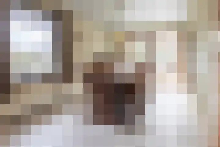 Jagersweg 1 Bergen op Zoom thumbnail 35