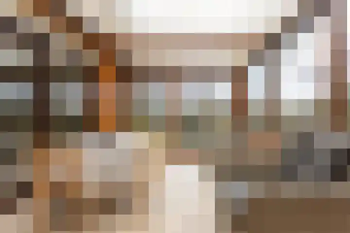 Jagersweg 1 Bergen op Zoom thumbnail 42