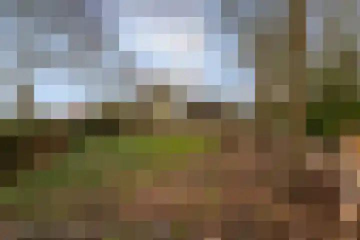 Jagersweg 1 Bergen op Zoom thumbnail 5