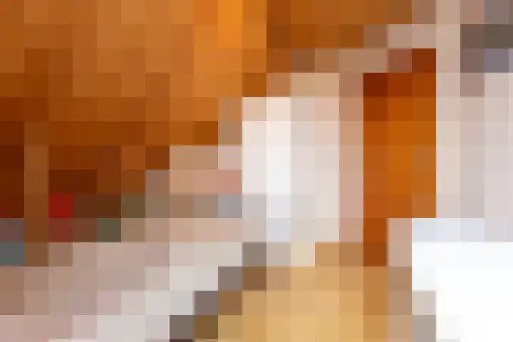 Jagersweg 1 Bergen op Zoom thumbnail 56