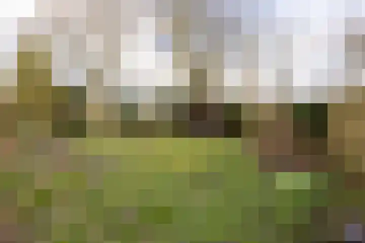 Jagersweg 1 Bergen op Zoom thumbnail 6