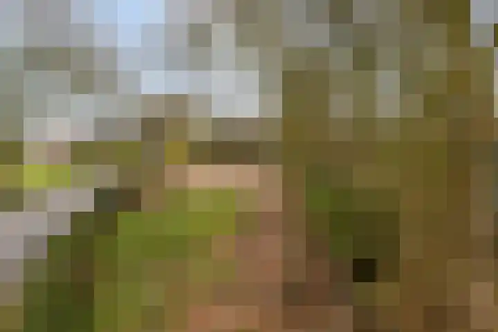Jagersweg 1 Bergen op Zoom thumbnail 7