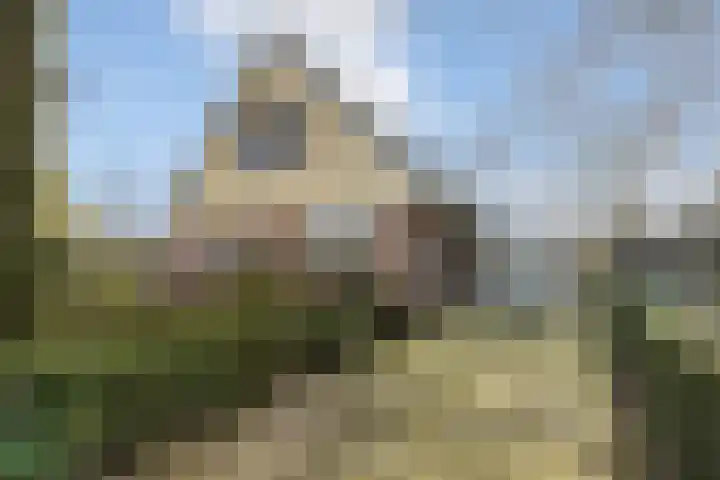 Jagersweg 1 Bergen op Zoom thumbnail 70
