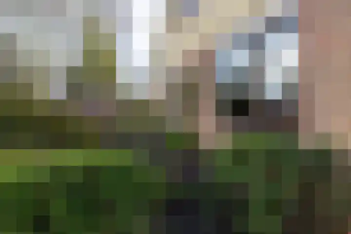 Jagersweg 1 Bergen op Zoom thumbnail 71