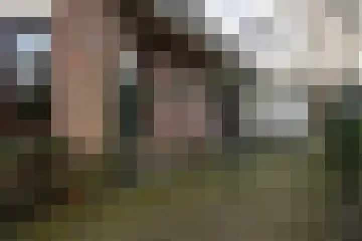 Jagersweg 1 Bergen op Zoom thumbnail 72