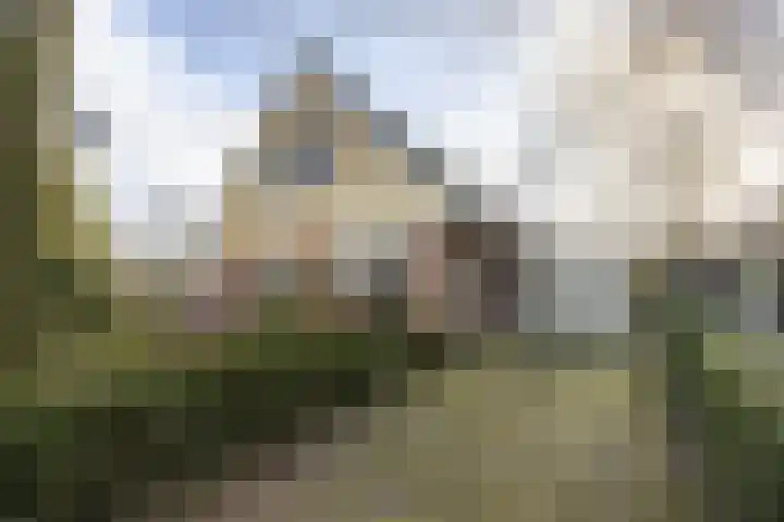 Jagersweg 1 Bergen op Zoom thumbnail 74