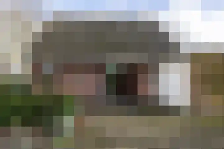 Jagersweg 1 Bergen op Zoom thumbnail 9