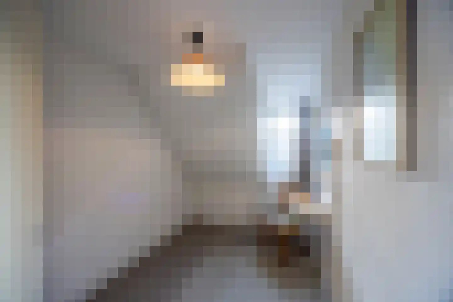 Jagersweg 19 Laren thumbnail 34