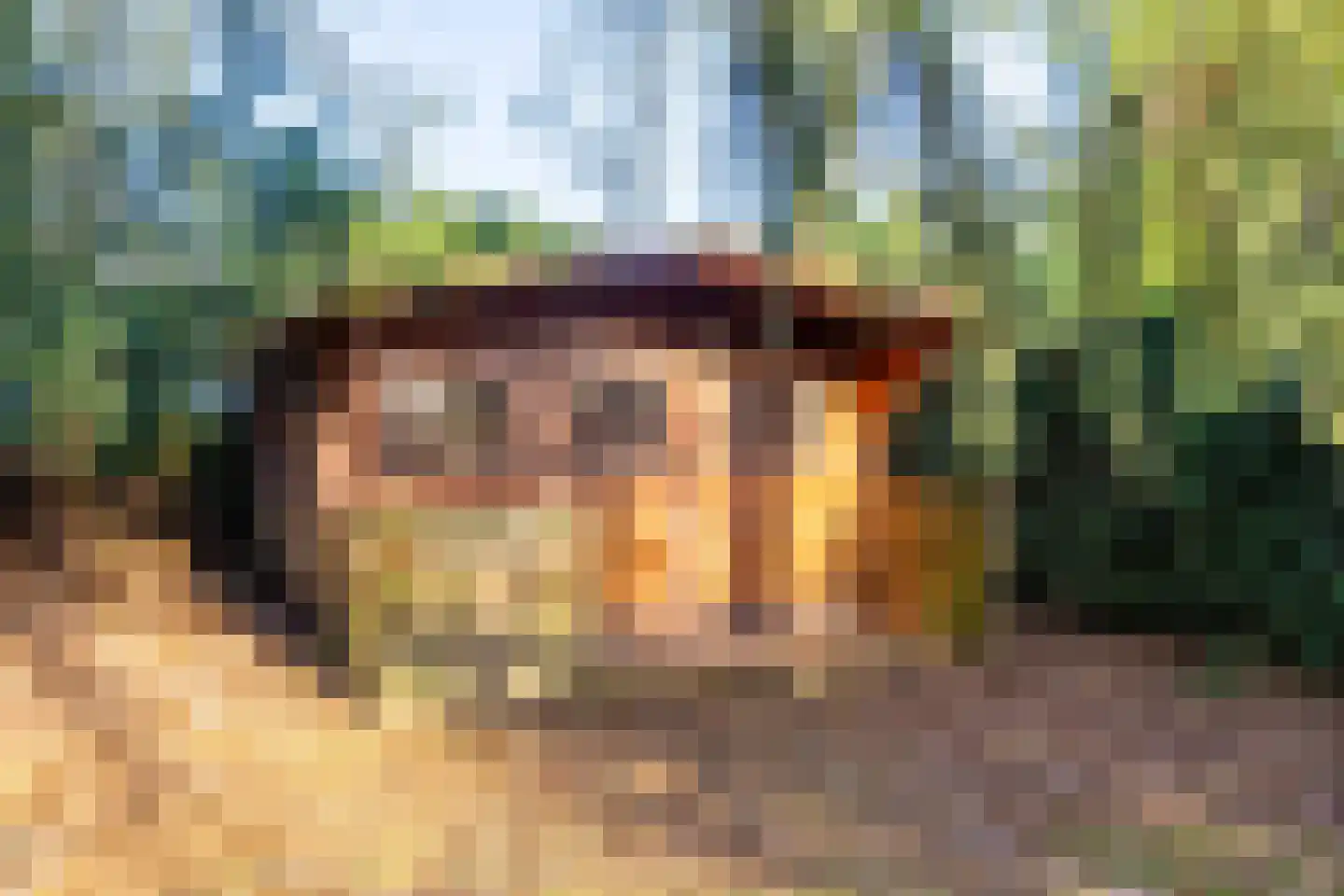 Jagersweg 19 Laren thumbnail 41