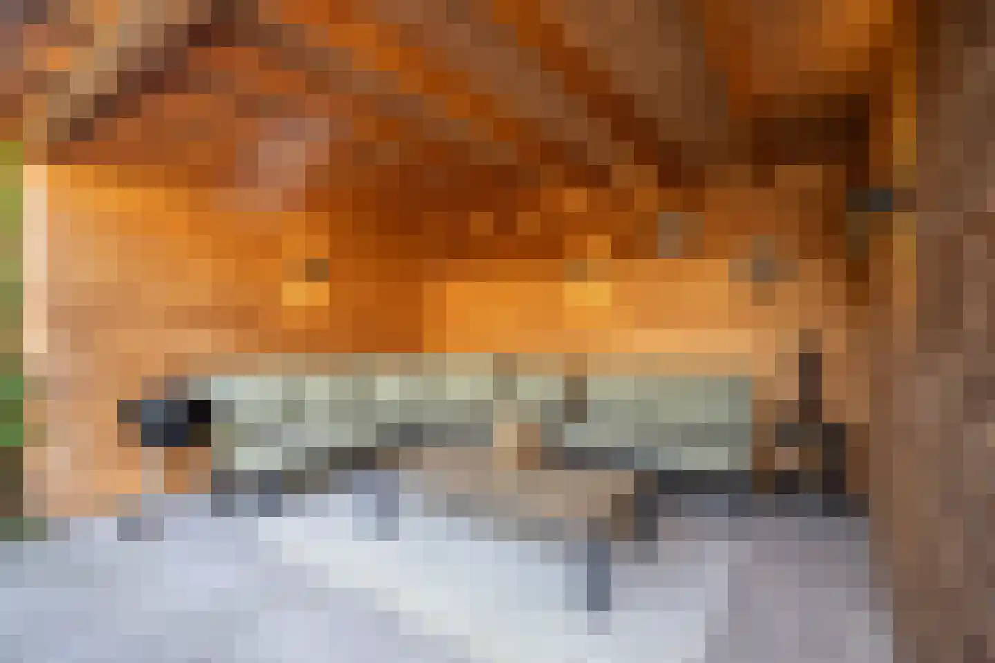 Jagersweg 19 Vught thumbnail 31