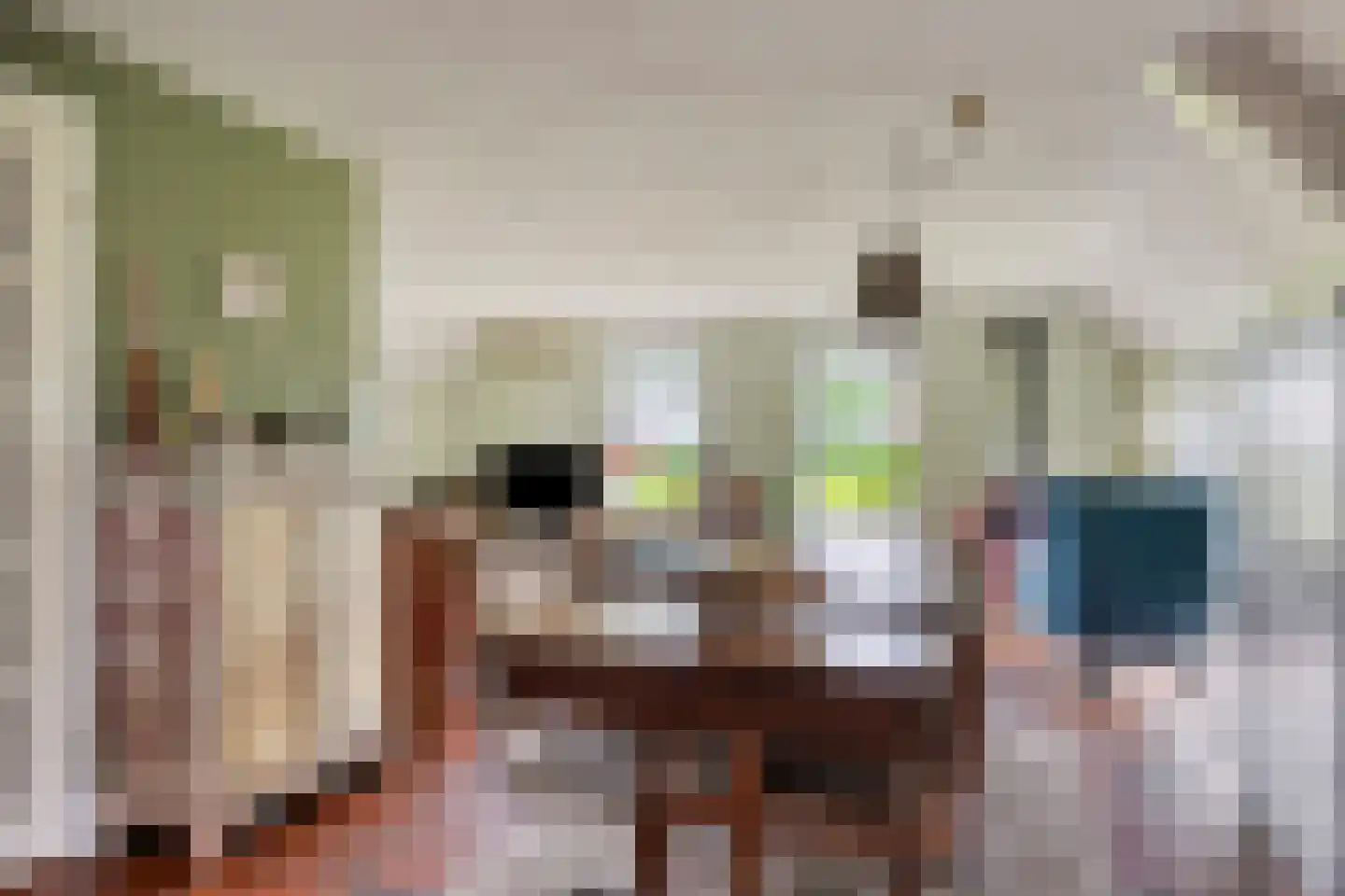 Jagersweg 2 Nieuwleusen thumbnail 26