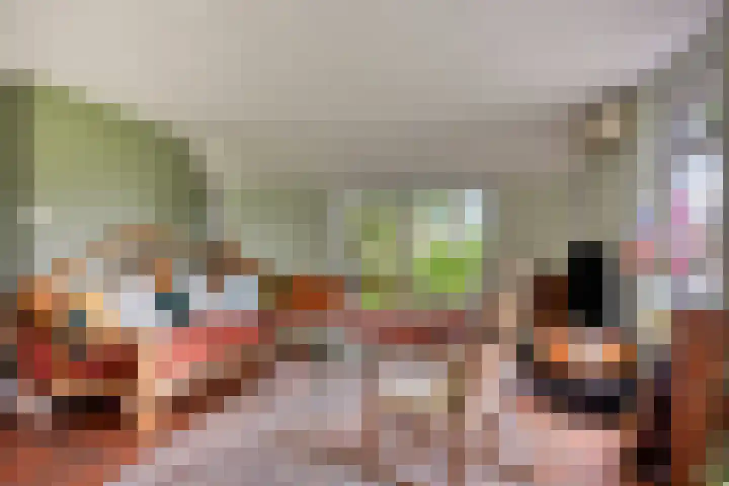 Jagersweg 2 Nieuwleusen thumbnail 27