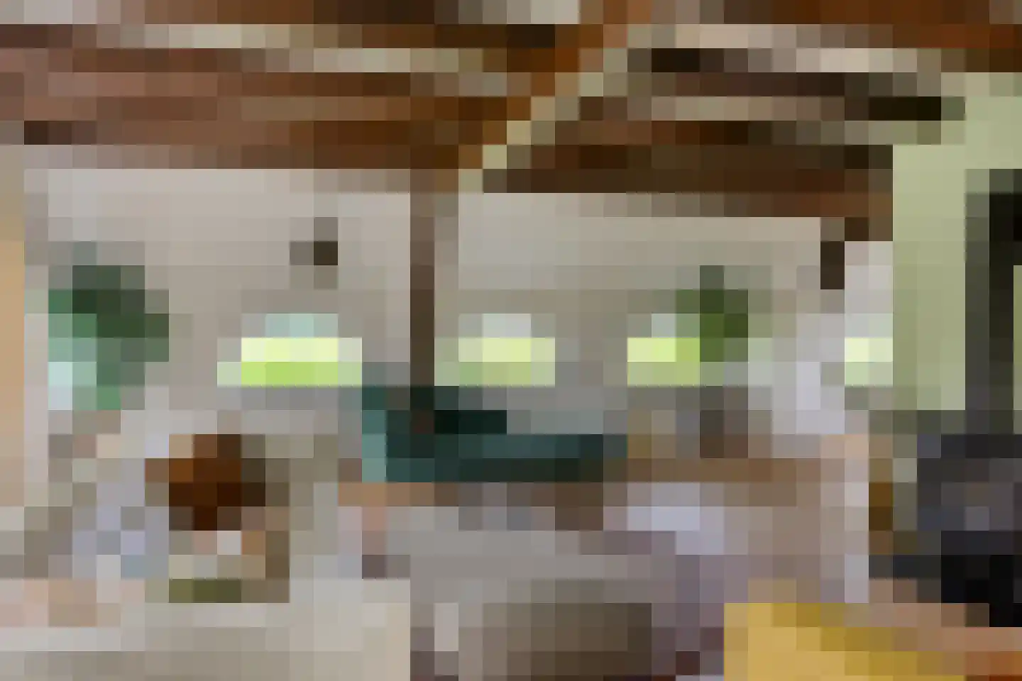 Jagersweg 2 Nieuwleusen thumbnail 30