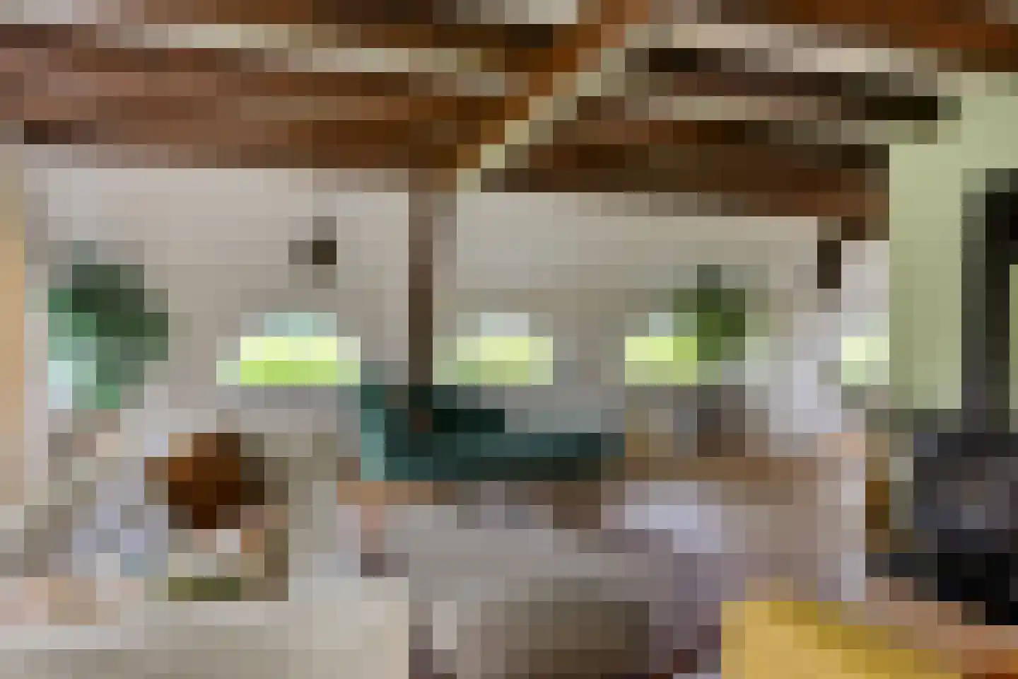 Jagersweg 2 Nieuwleusen thumbnail 30