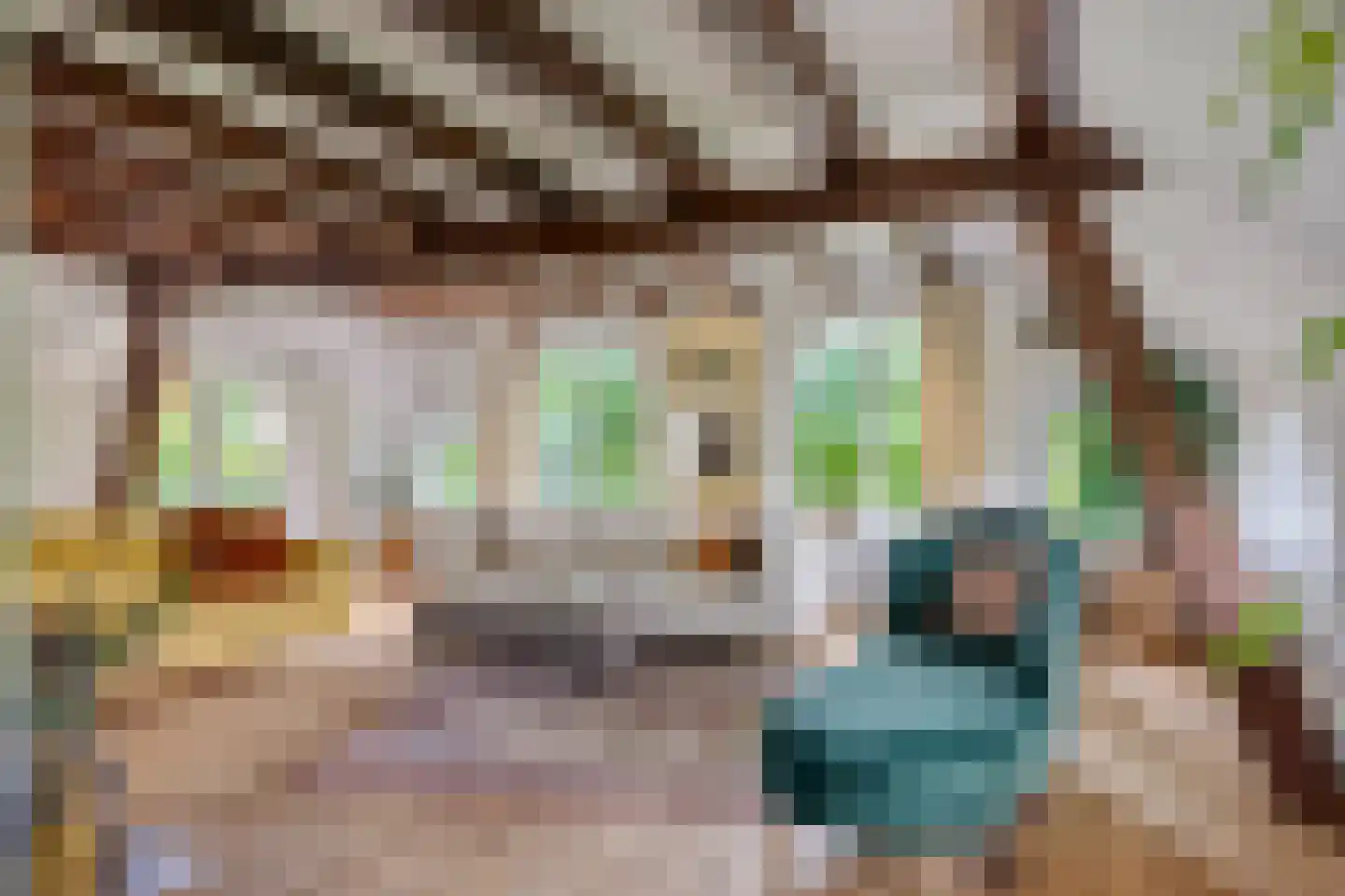 Jagersweg 2 Nieuwleusen thumbnail 31