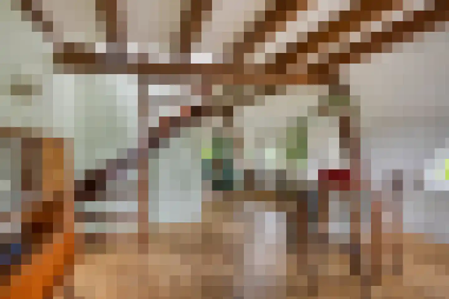 Jagersweg 2 Nieuwleusen thumbnail 32