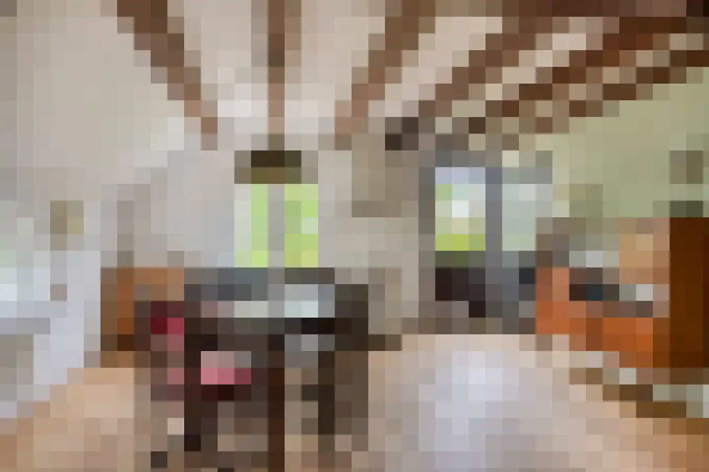 Jagersweg 2 Nieuwleusen thumbnail 33