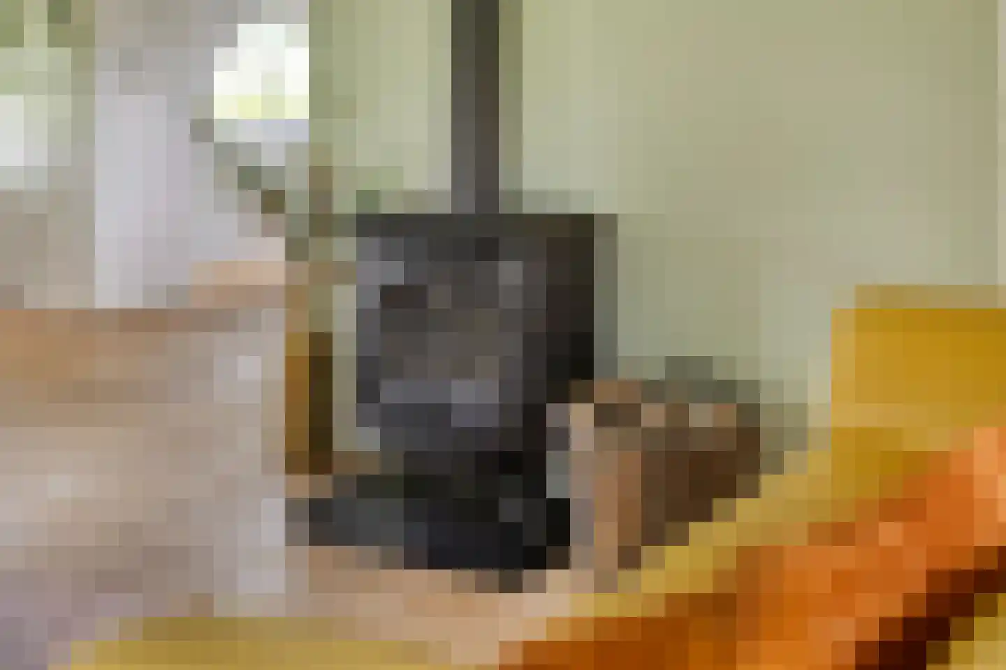 Jagersweg 2 Nieuwleusen thumbnail 36