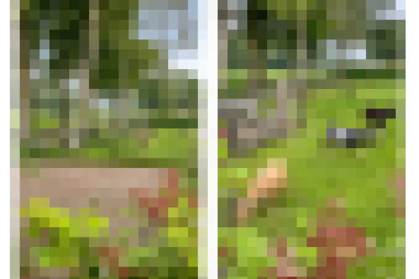 Jagersweg 2 Nieuwleusen thumbnail 38
