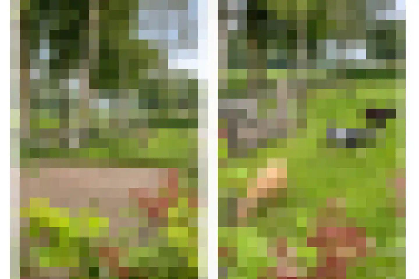 Jagersweg 2 Nieuwleusen thumbnail 38