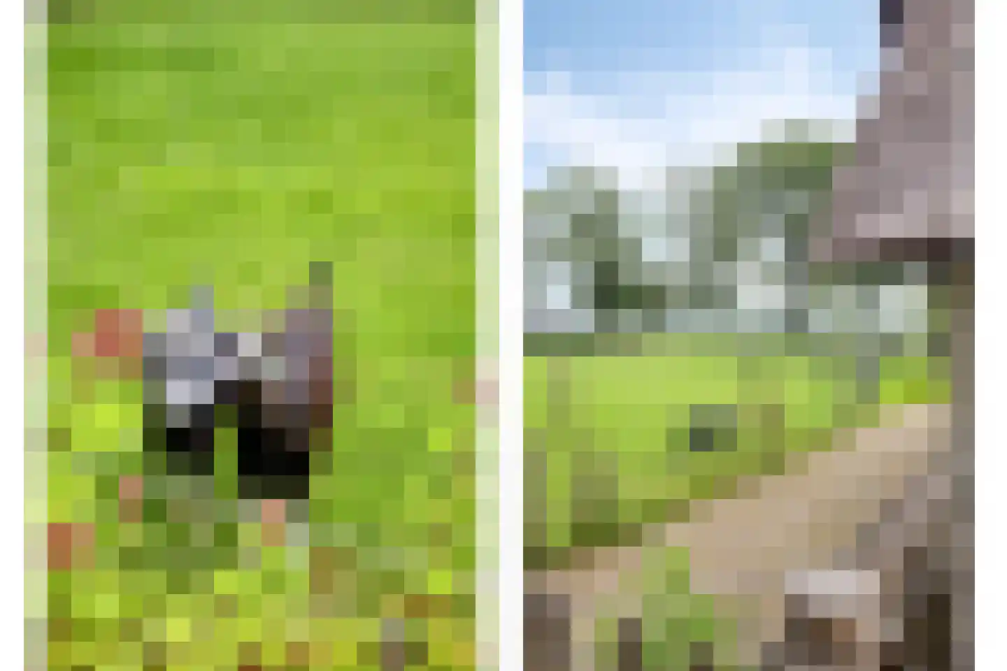 Jagersweg 2 Nieuwleusen thumbnail 39