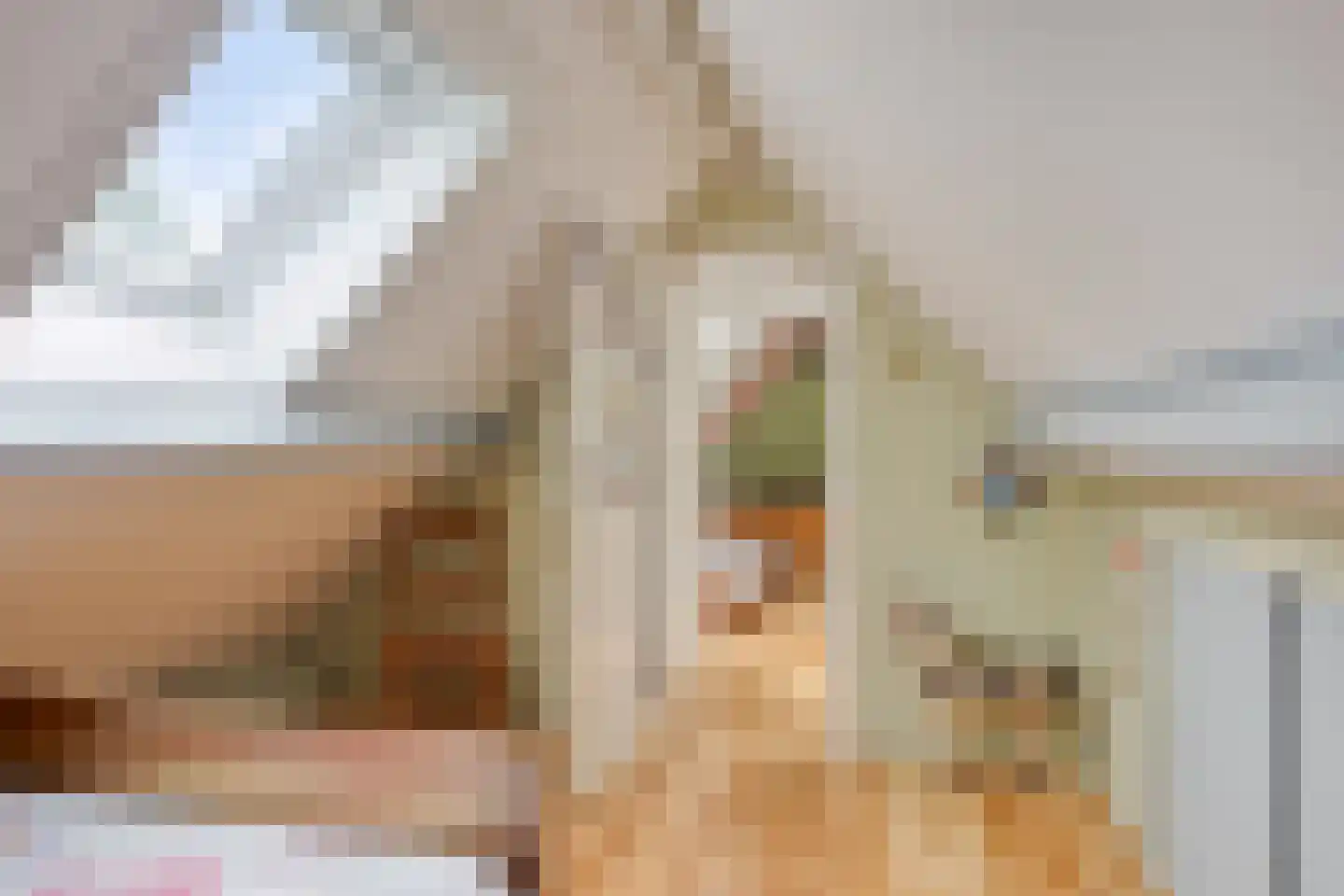 Jagersweg 2 Nieuwleusen thumbnail 42
