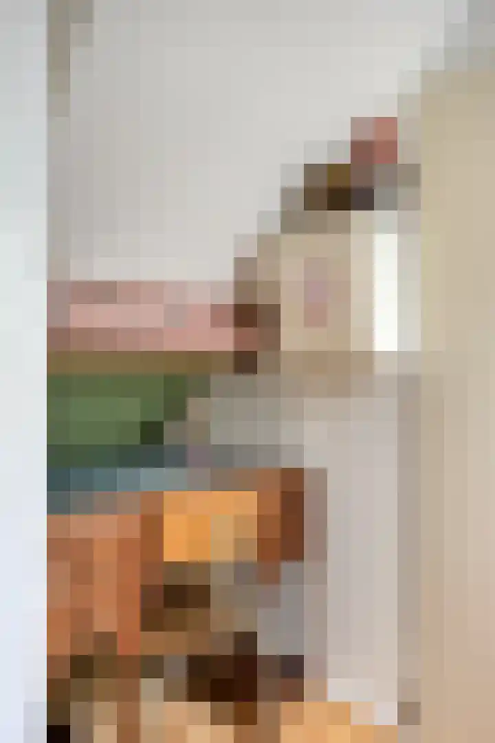 Jagersweg 2 Nieuwleusen thumbnail 43