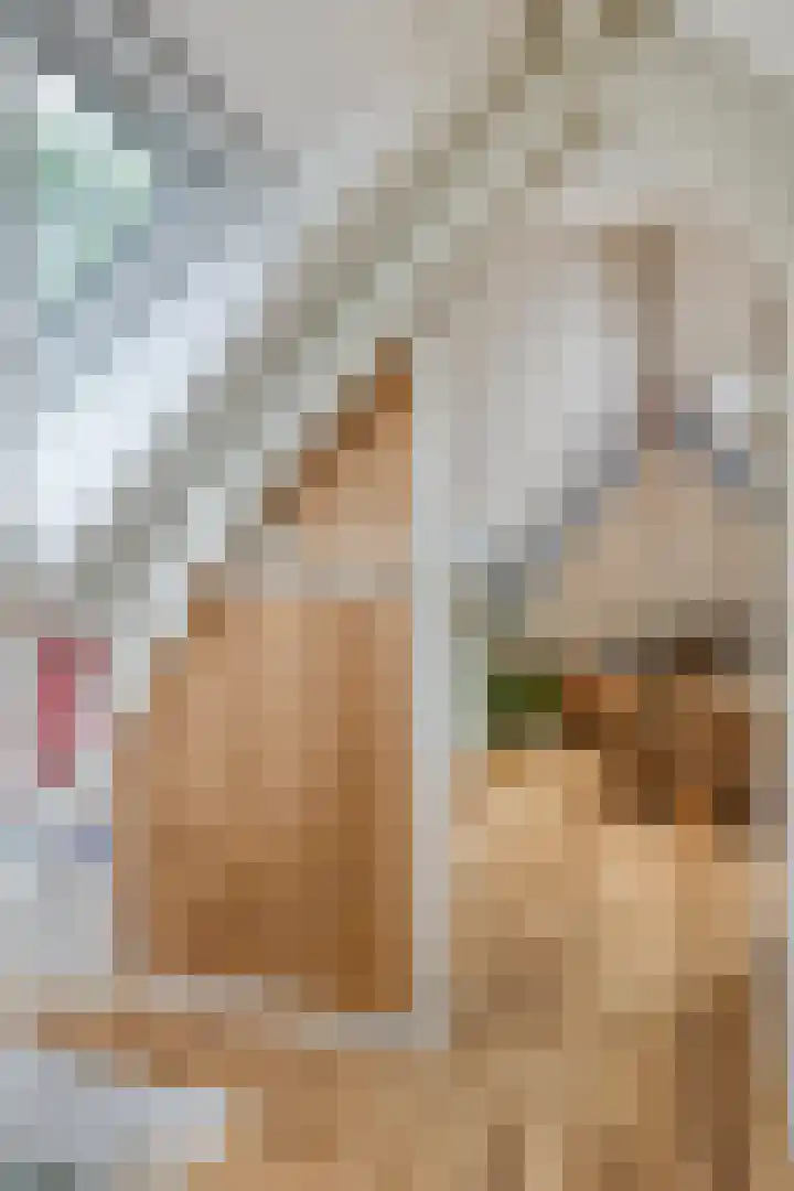 Jagersweg 2 Nieuwleusen thumbnail 44