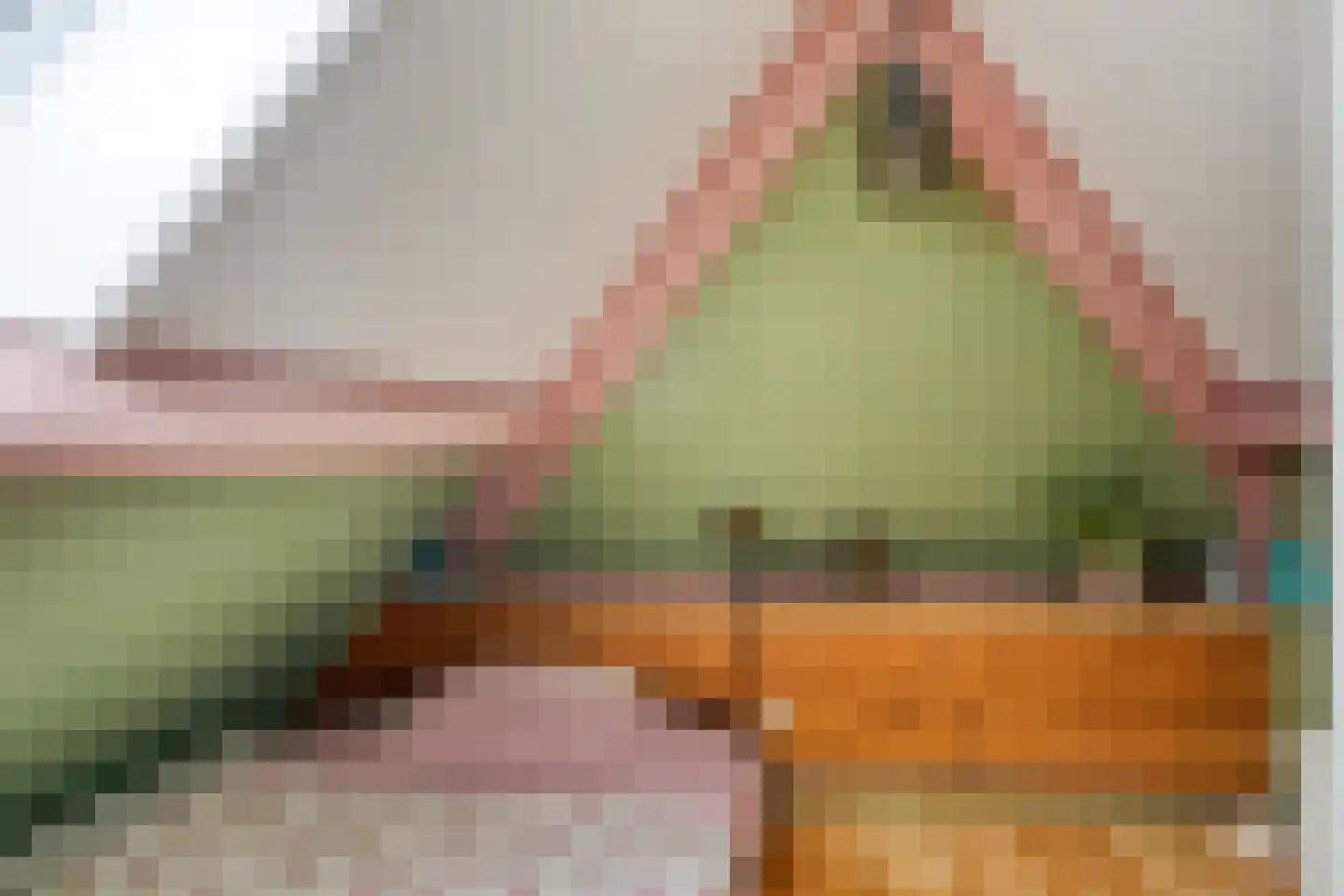 Jagersweg 2 Nieuwleusen thumbnail 45
