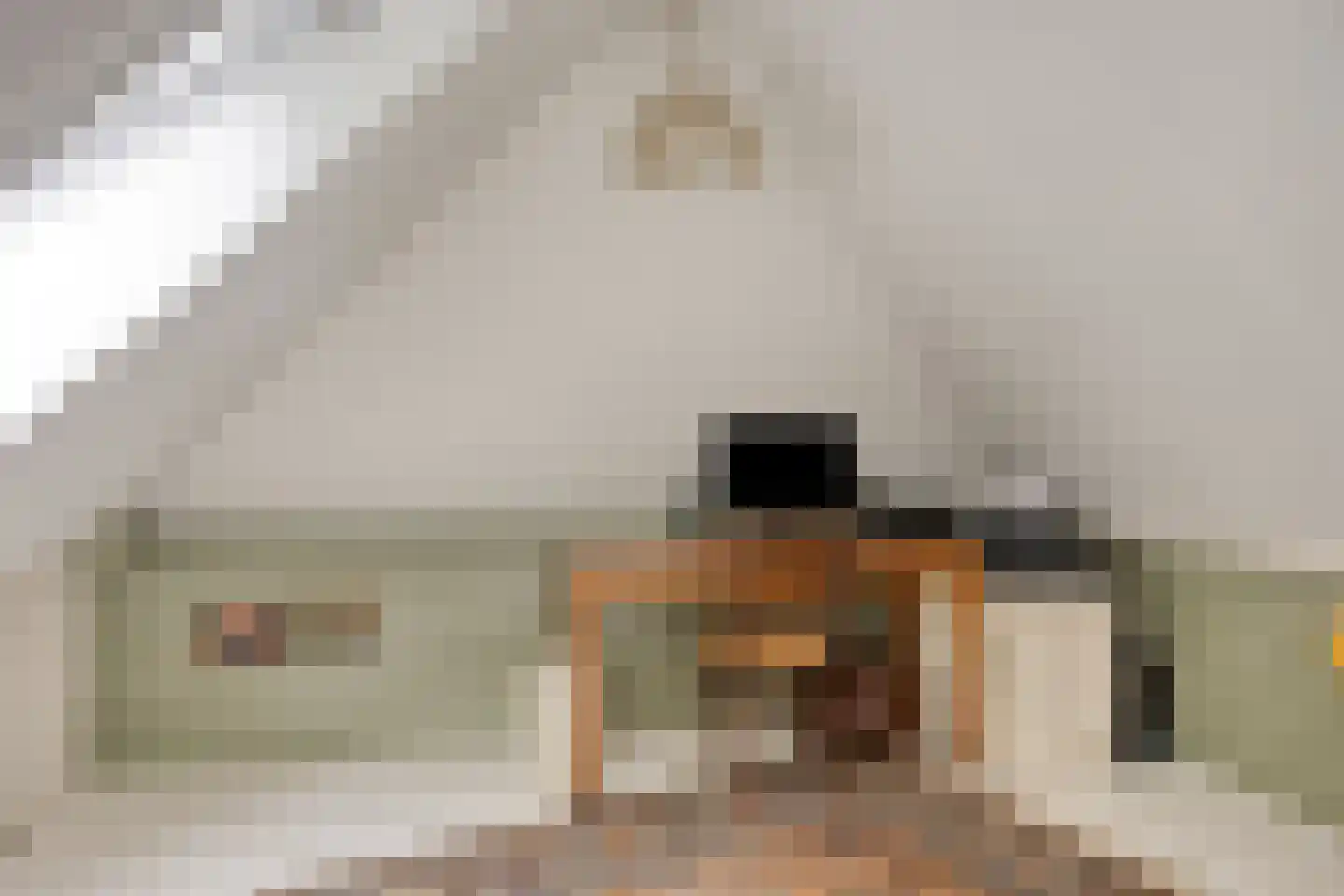 Jagersweg 2 Nieuwleusen thumbnail 49