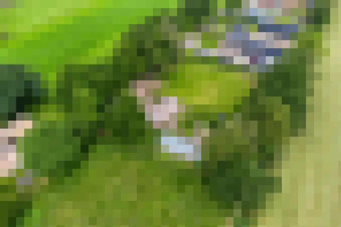 Jagersweg 2 Nieuwleusen thumbnail 53