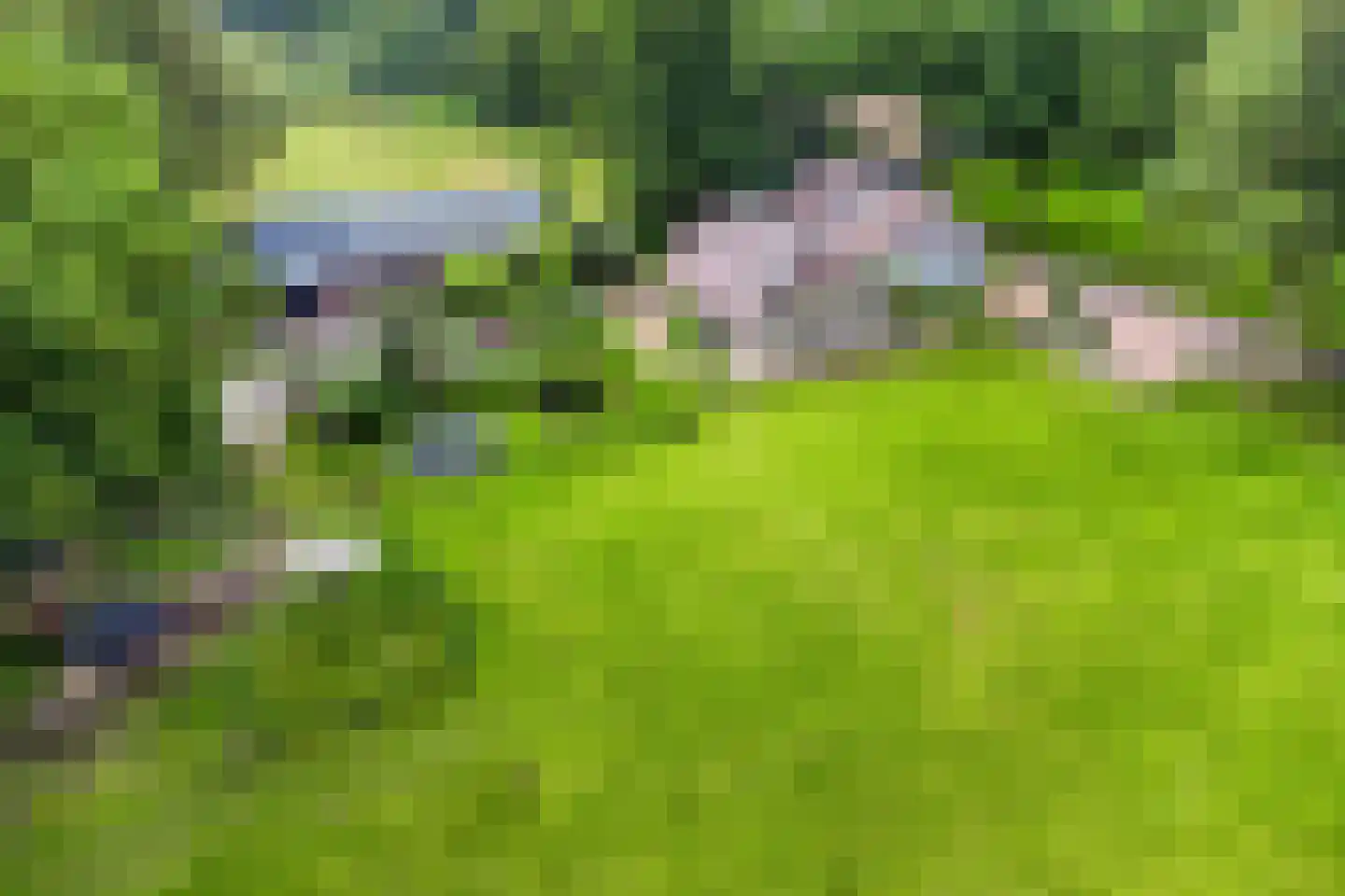 Jagersweg 2 Nieuwleusen thumbnail 54