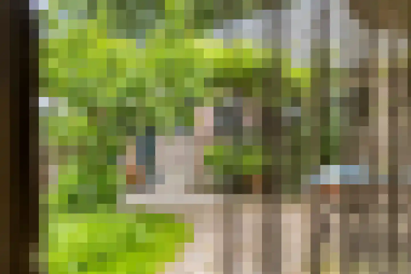 Jagersweg 2 Nieuwleusen thumbnail 55