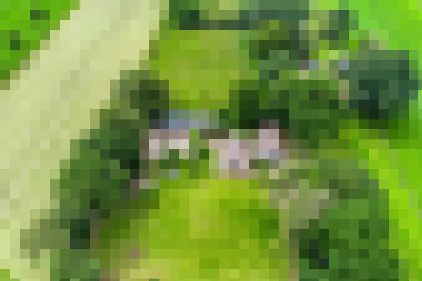 Jagersweg 2 Nieuwleusen thumbnail 56