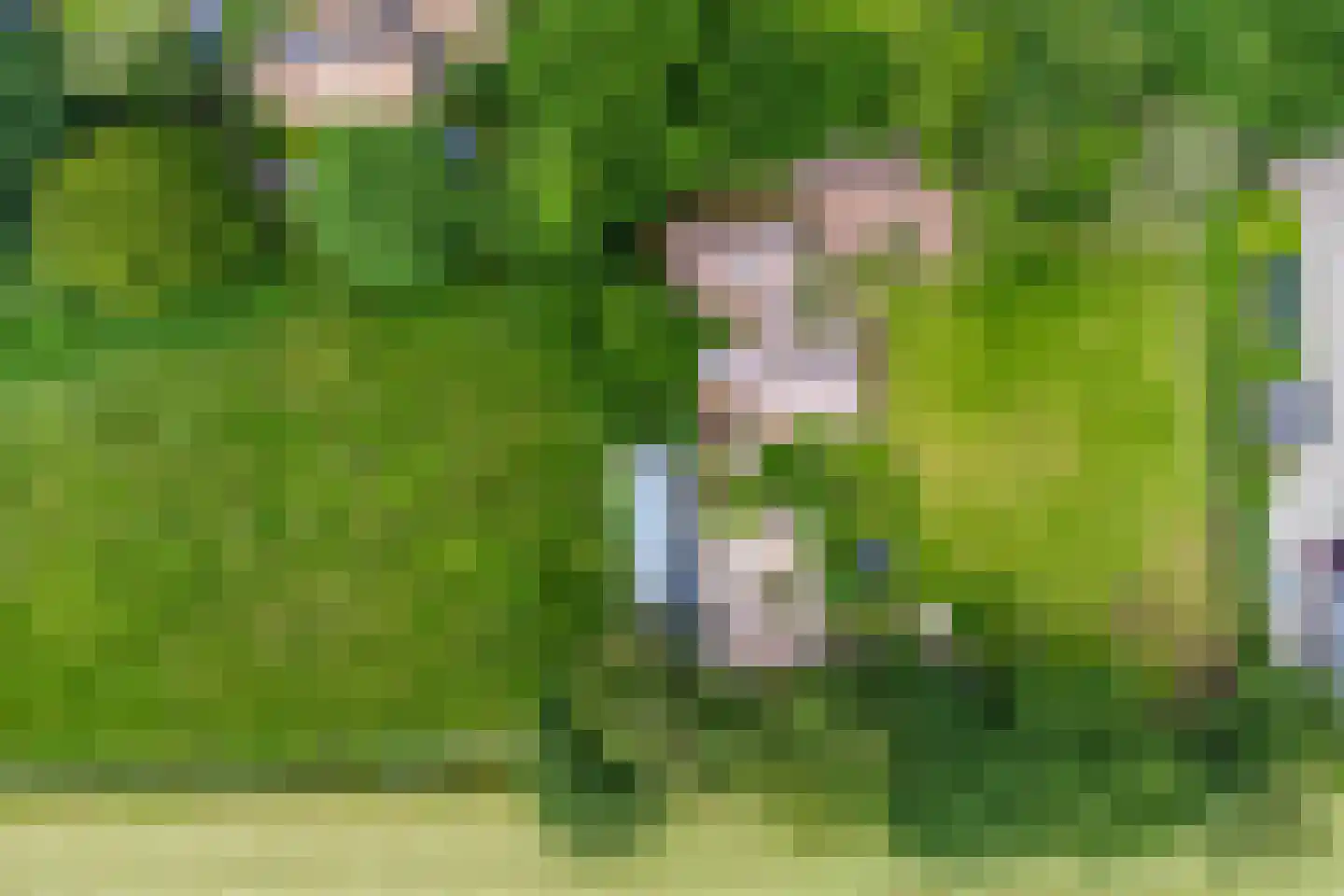 Jagersweg 2 Nieuwleusen thumbnail 57