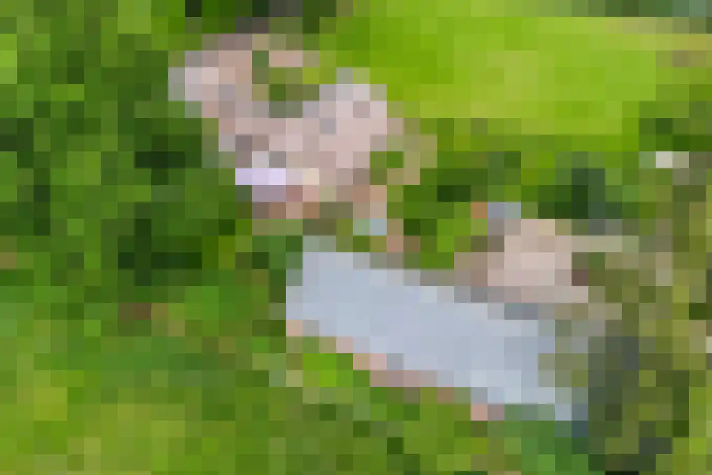 Jagersweg 2 Nieuwleusen thumbnail 59