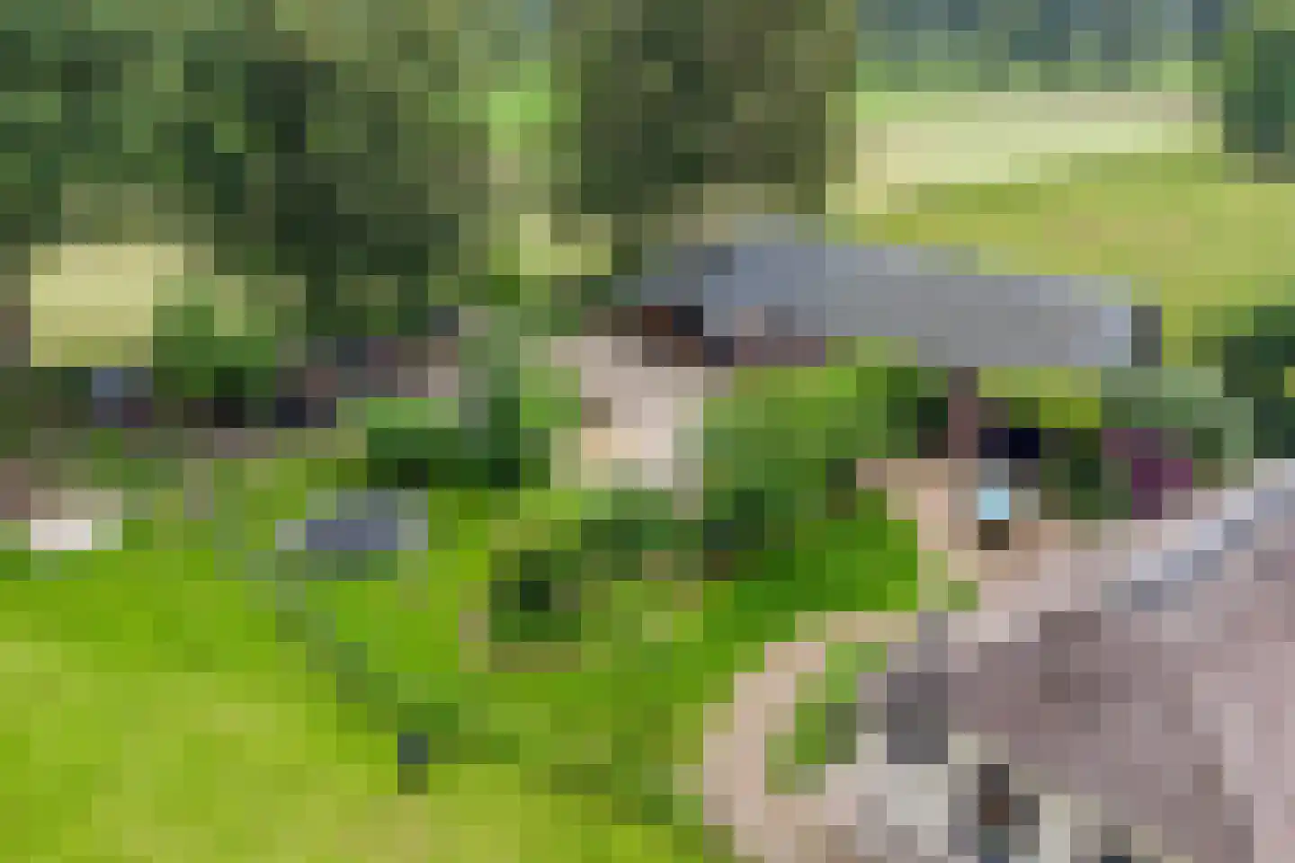 Jagersweg 2 Nieuwleusen thumbnail 60