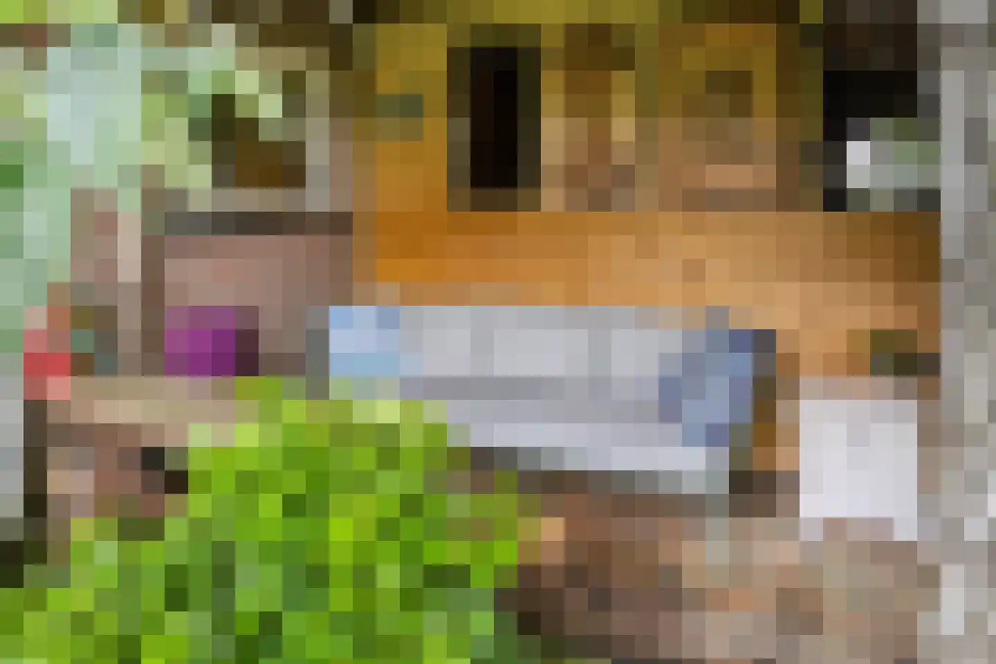 Jagersweg 2 Nieuwleusen thumbnail 62