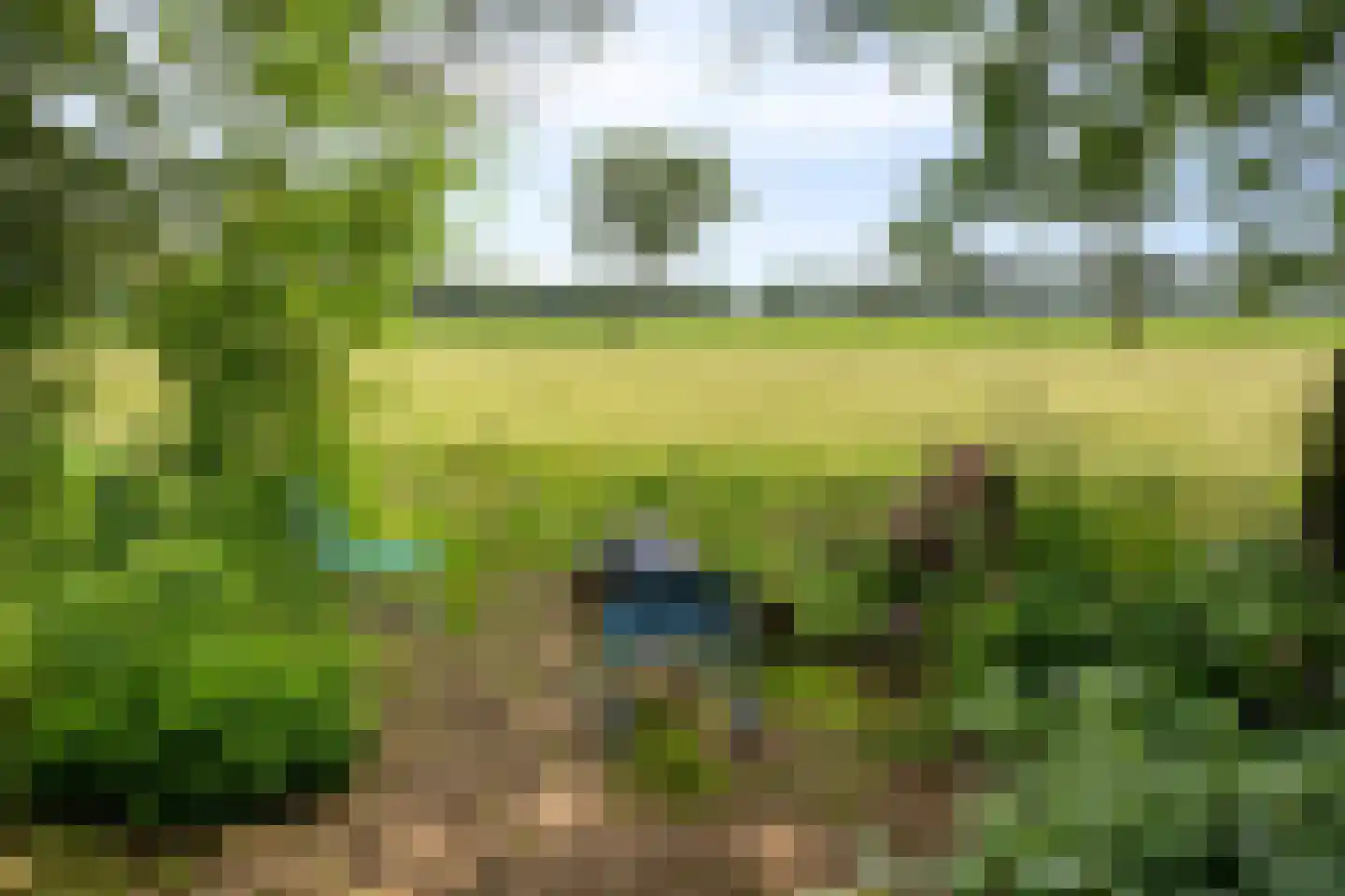 Jagersweg 2 Nieuwleusen thumbnail 64