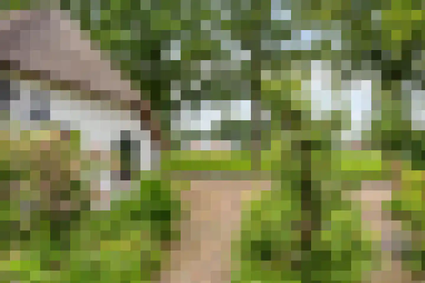 Jagersweg 2 Nieuwleusen thumbnail 8