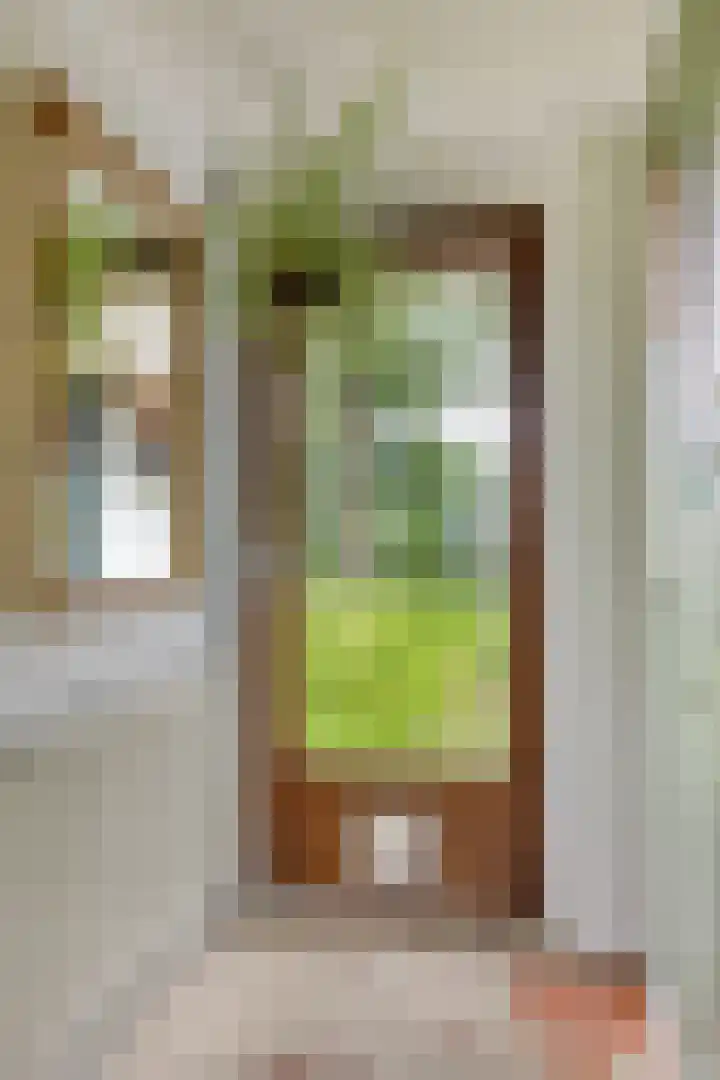 Jagersweg 2 Nieuwleusen thumbnail 9