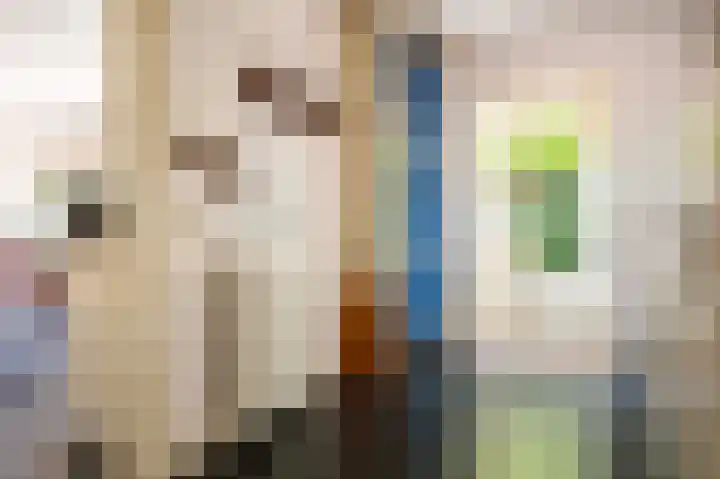 Jagersweg 23 Apeldoorn thumbnail 19